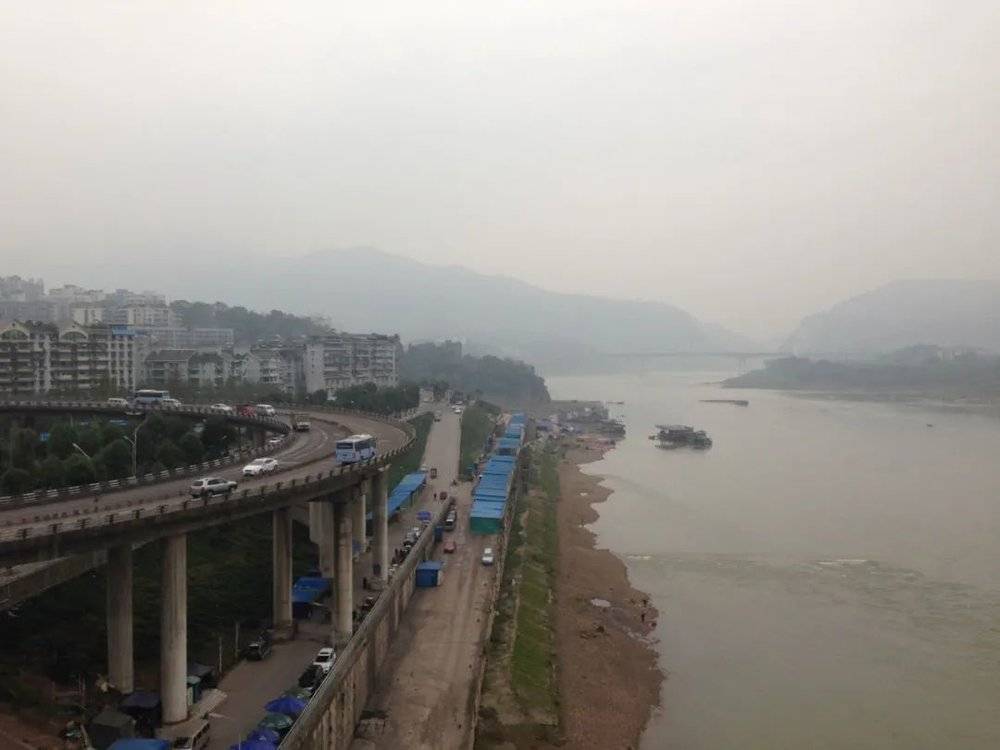 百家樂：在日本駕校學車，會被教練罵嗎？