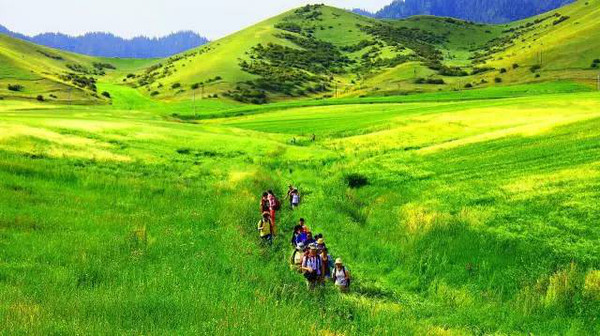 {賭波}(中国十大露营地都在哪里)